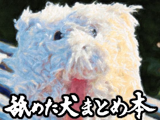 【FANZA同人raw】舐めた犬まとめ本｜d_617989