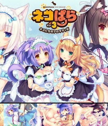 【FANZA同人raw】ネコぱら vol.3 ネコたちのアロマティゼ｜d_111656