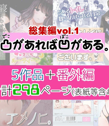 【FANZA同人raw】凸があれば凹がある。総集編vol.1｜d_232889