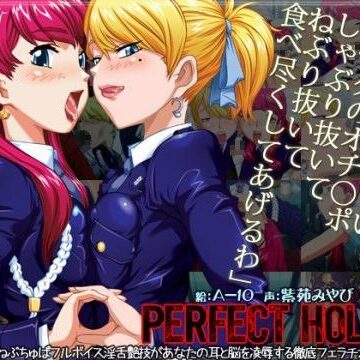【FANZA同人raw】パーフェクトホールQ｜d_042865