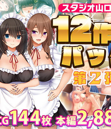 【FANZA同人raw】スタジオ山ロマン12作品パック第2弾｜d_279796